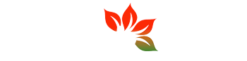 Proteas de la Sabana